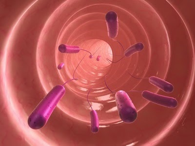 SIBO Testing - Small Intestine Bacterial Overgrowth